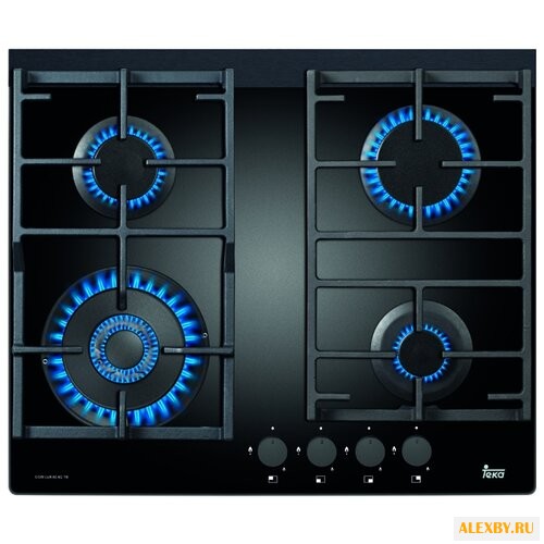 Варочная панель TEKA WISH