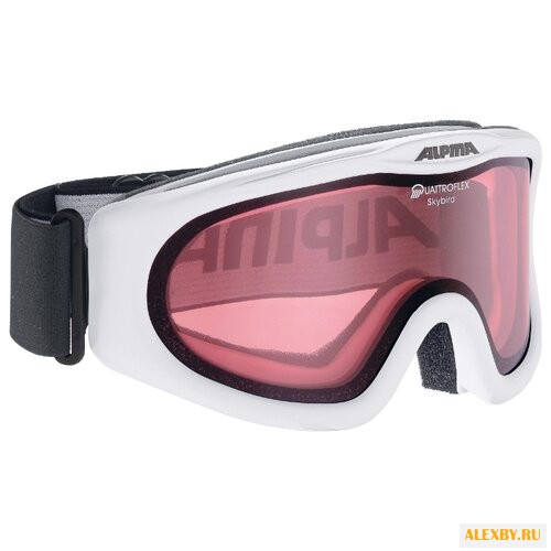 Маска Alpina Skybird Q