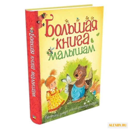 Большая книга. Большая книга