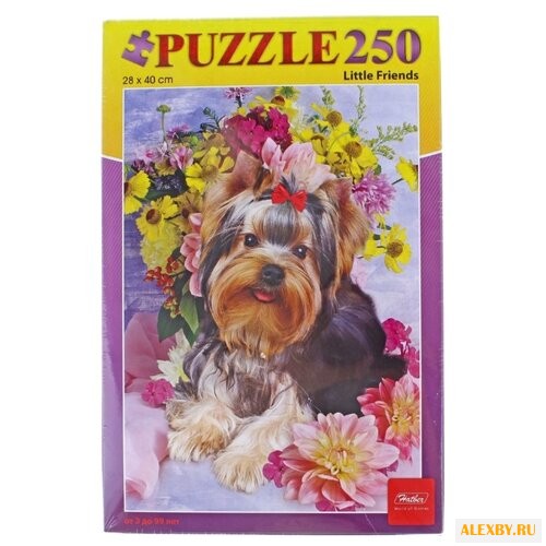 Пазл Hatber Little Friends