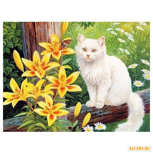 Color Kit Картина по номерам