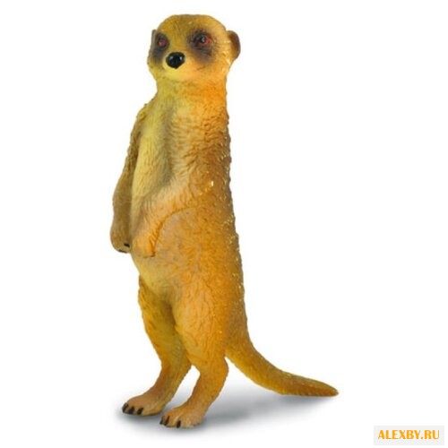 Фигурка Collecta Сурикат 88217