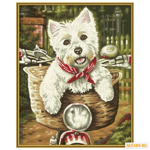 Schipper Картина по номерам