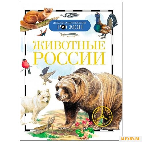 Травина И. В. Детская