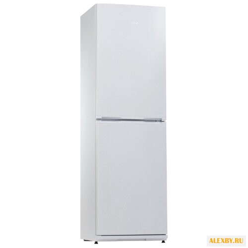 Холодильник Snaige RF35SM-S10021