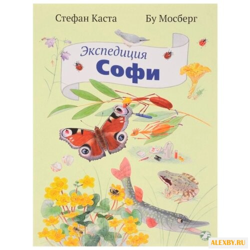 Каста С. Экспедиция Софи