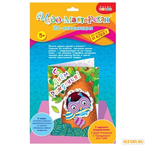 Дрофа-Медиа 3D-аппликация Сова