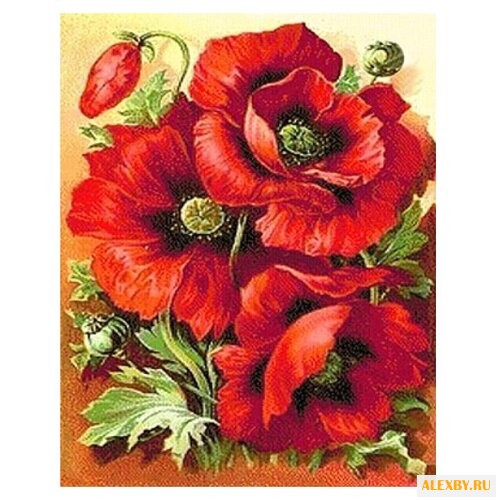 Алмазная живопись Набор