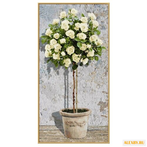 Schipper Картина по номерам