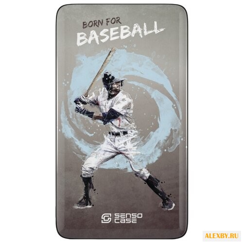 Аккумулятор Sensocase Power