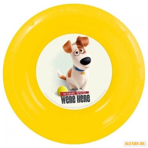 Stor Тарелка Тайная жизнь