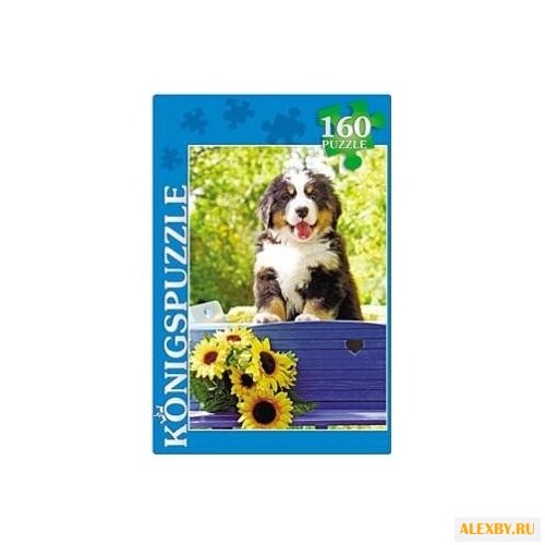 Пазл Рыжий кот Konigspuzzle