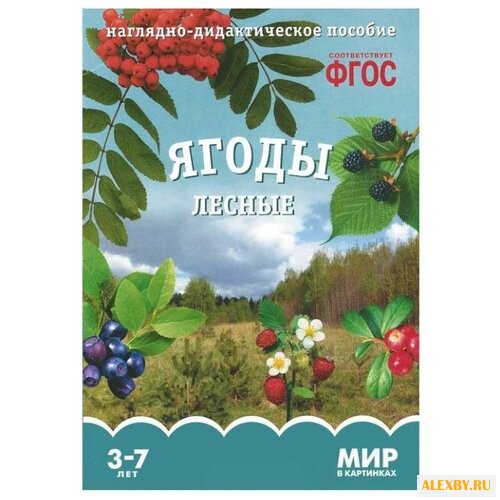 Набор карточек Мозаика-Синтез