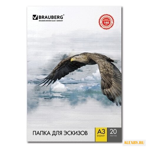 Папка для рисования BRAUBERG