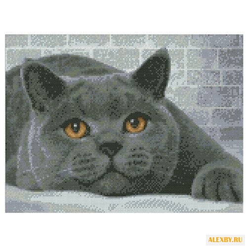 Алмазная живопись Набор