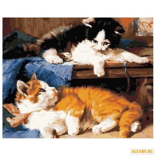 Color Kit Картина по номерам