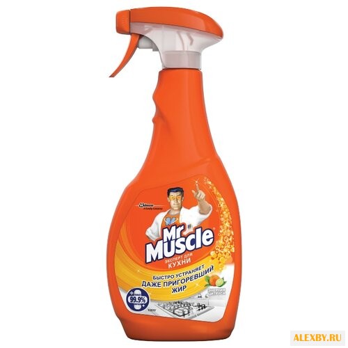 Спрей эксперт для кухни Энергия