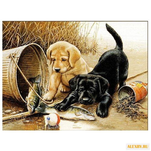 Алмазная живопись Набор