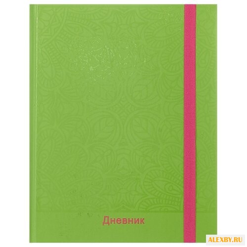 Бриз Дневник школьный ДШУР-3148