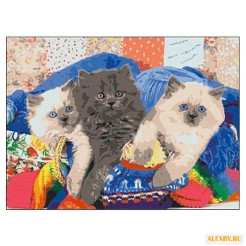 Рыжий кот Картина по номерам