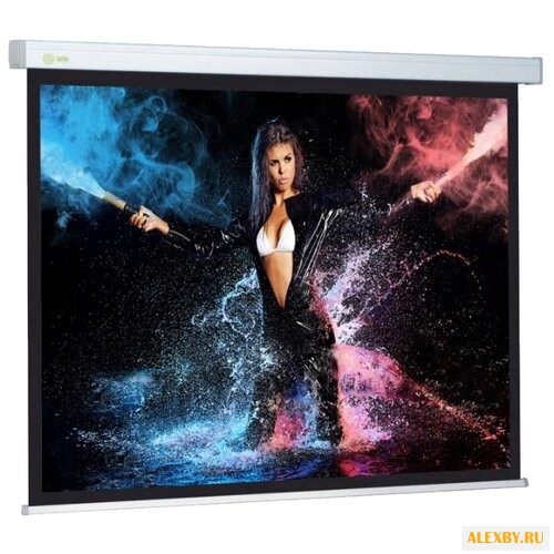 Рулонный матовый белый экран