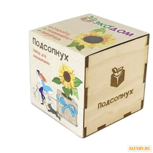 Набор Эко Клуб Подсолнух