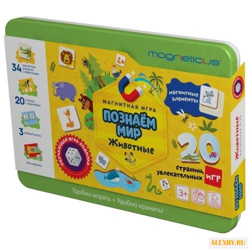 Обучающий набор Magneticus