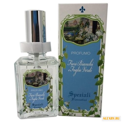 Derbe Fiori Bianchi e Foglie