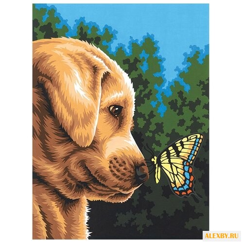 Dimensions Картина по номерам