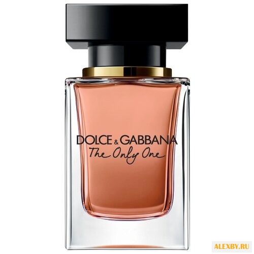 DOLCE & GABBANA The Only One