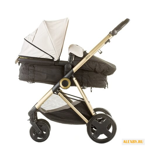 Коляска-трансформер Chipolino