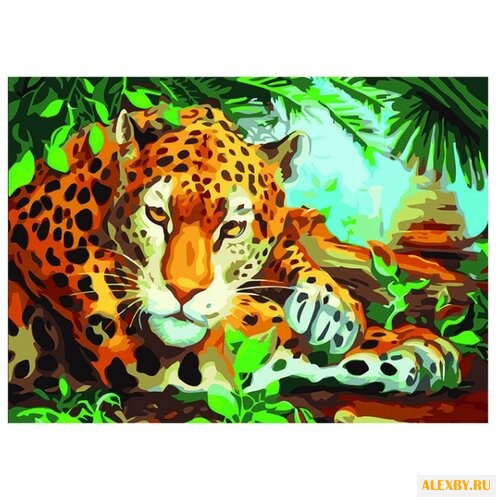 Color Kit Картина по номерам