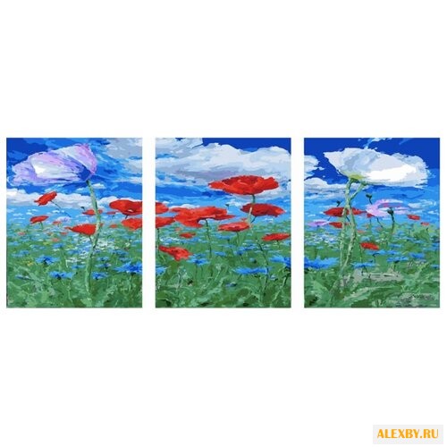 Color Kit Картина по номерам