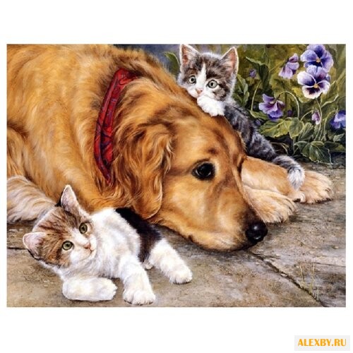 Color Kit Картина по номерам