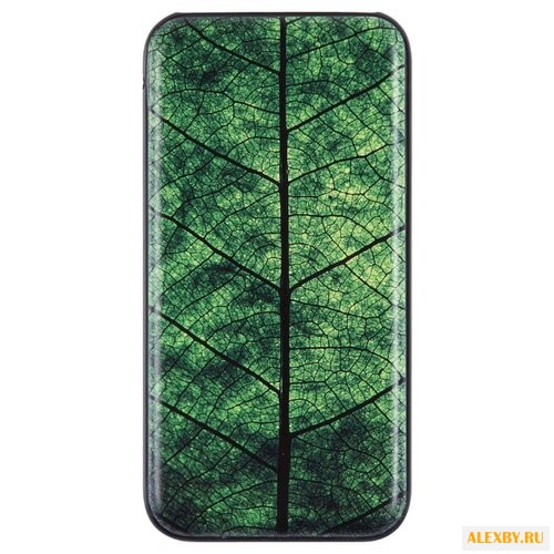 Аккумулятор Принтэссенция