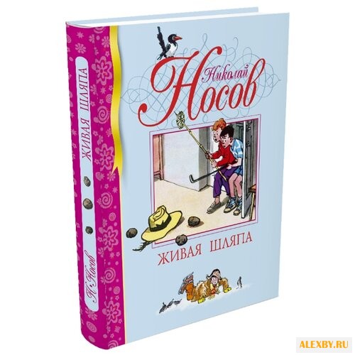 Носов Н. Библиотека детской