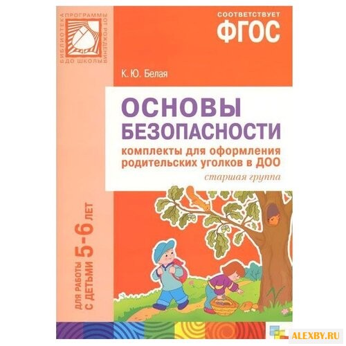 Белая К. Ю. Основы