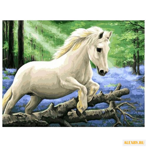 Белоснежка Картина по номерам В