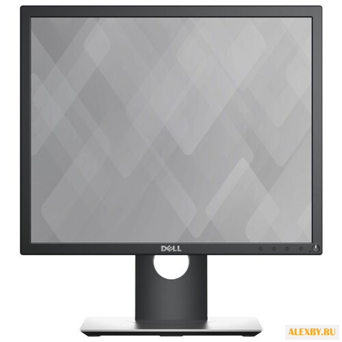 Монитор DELL P1917SWh