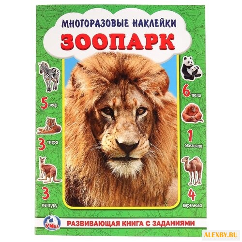 Книжка-активити с многоразовыми