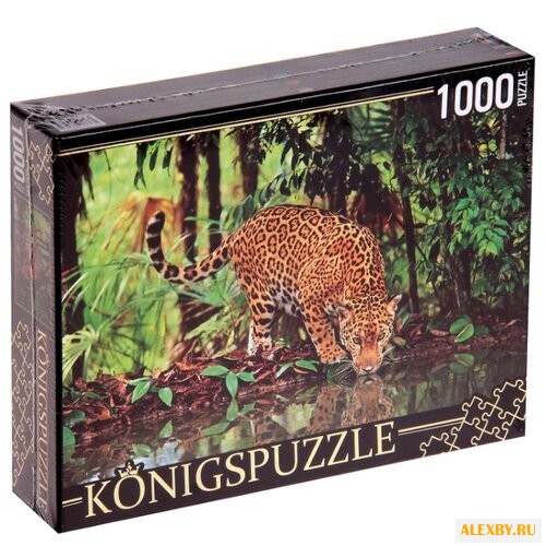 Пазл Рыжий кот Konigspuzzle