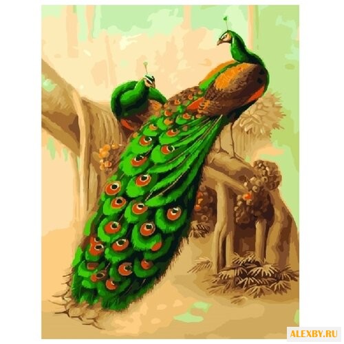 Color Kit Картина по номерам