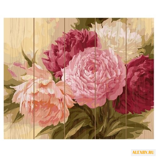 Molly Картина по номерам