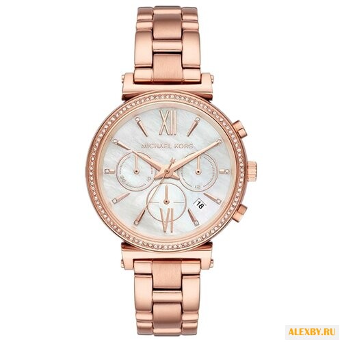 Наручные часы MICHAEL KORS MK6576