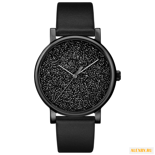 Наручные часы TIMEX TW2R95100