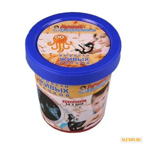 Набор Qiddycome Вырасти живого