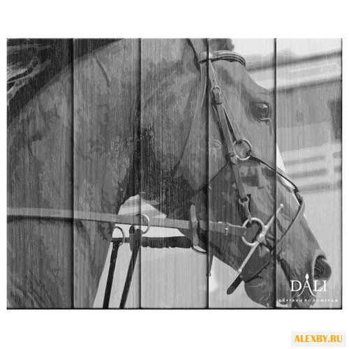 DALI Картина по номерам Лошадь