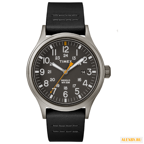 Наручные часы TIMEX TW2R46500