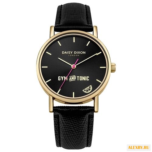 Наручные часы DAISY DIXON DD079BG