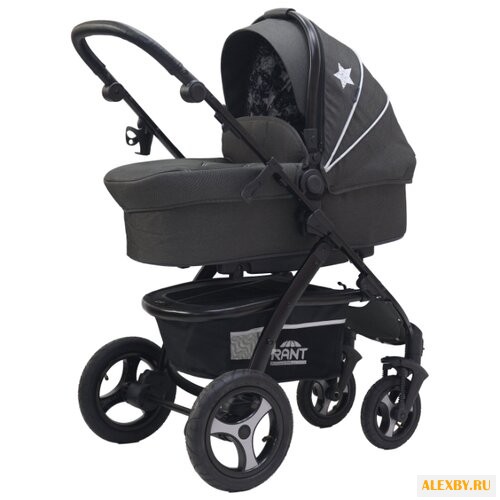 Универсальная коляска RANT